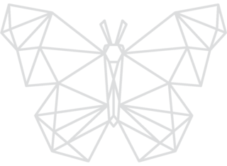 papillon-geometrique_render.png